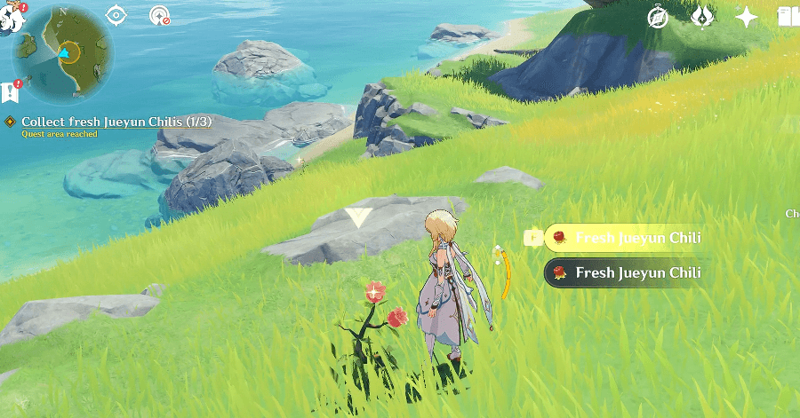 Genshin - Collect Fresh Jueyun Chilis