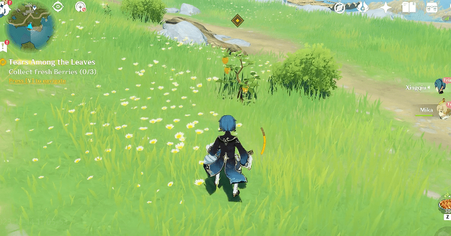 Genshin - Collect Fresh Berries