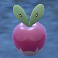 Pokemon Scarlet and Violet - Regular Applin