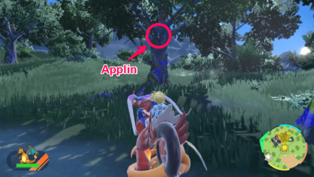 Pokemon Scarlet and Violet - In Front of Applin Tree
