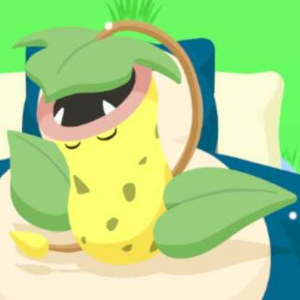 Pokemon Sleep - Atop-Belly Sleep