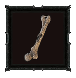 Blackened Femur