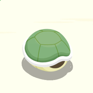Shiny Squirtle Sheltered Sleep