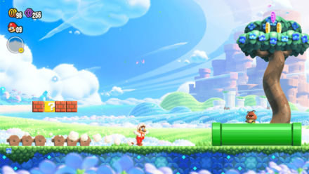 Super Mario Bros Wonder - Hold the Y Button