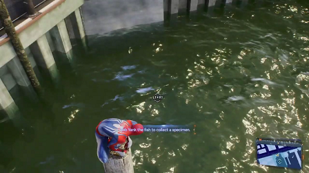 Spiderman 2 PS5 - catching a fish