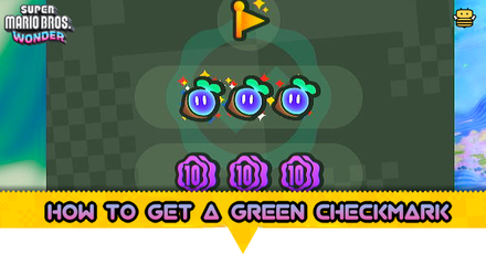 Super Mario Bros Wonder - How to Get a Green Checkmark