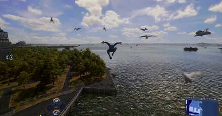 Spider-Man 2 - Take the Birds to Freedom