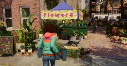 Spider-Man 2 - Buy Flowers