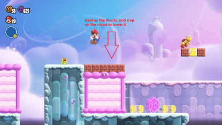 Super Mario Wonder - Purple 10 Coin 1