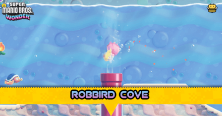 Robbird Cove Top