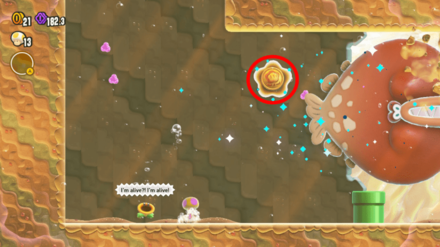 Mario Wonder 1st Wonder Token