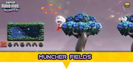 Muncher Fields Guide All Wonder Seed and 10 Coin Locations