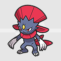 Pokemon Scarlet and Violet SV - Weavile Icon
