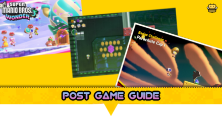 Super Mario Wonder - Post Game Guide