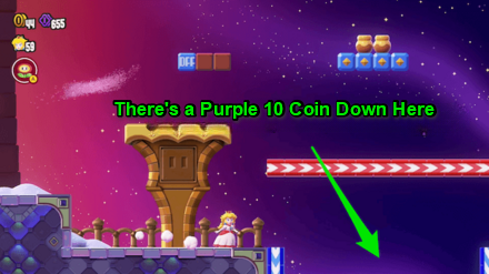 Super Mario Bros Wonder - Jump Down the Hole Near the End of the Stage