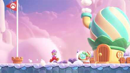 Mario Wonder - Pole Block Passage Wonder Seed 2