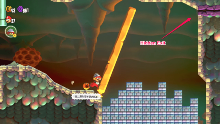 Where the Rrrumbas Rule Hidden Exit