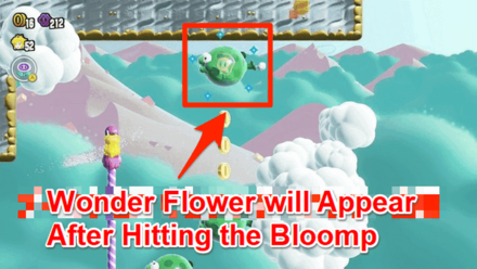 Super Mario Bros Wonder - Wonder Flower 1