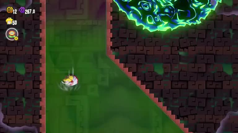 Special World Entrance Fungi Mines: Special Dangerous Donut
