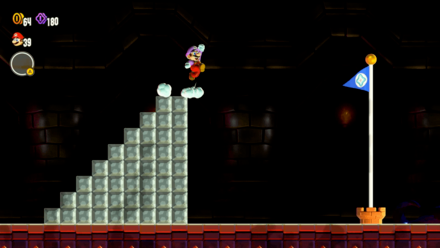 Super Mario Bros Wonder - The Final Test Wonder Gauntlet How To