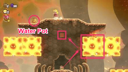 Super Mario Bros Wonder - Obtained from the Wonder Flower.png