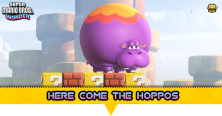 Here Come the Hoppos