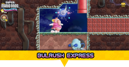 Bulrush Express Guide Secret Exits Wonder Seeds and 10 Coin