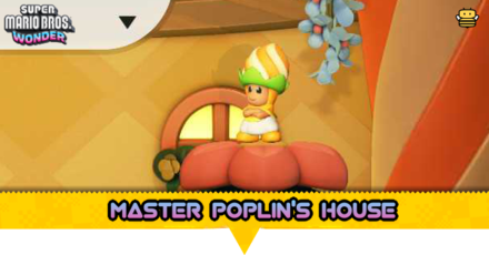 Super Mario Wonder - Master Poplin