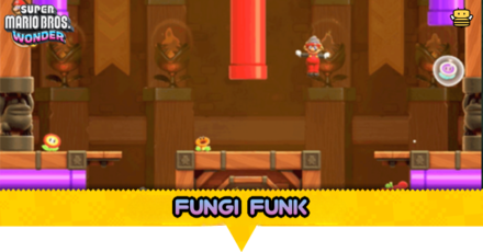 Fungi Funk