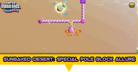 Sunbaked Desert Special Pole Block Allure