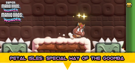 Petal Isles Special Way of the Goomba