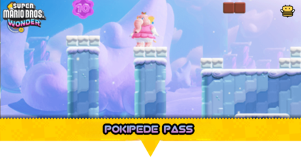 Pokipede Pass