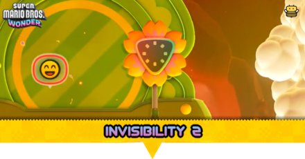 Invisibility 2