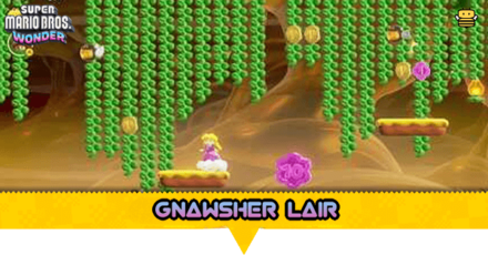 Gnawsher Lair
