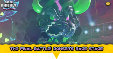 The Final Battle! Bowser