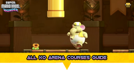 All KO Arena Courses Guide