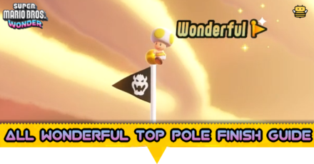All Wonderful Top Pole Finish Guide