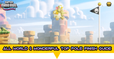 All World 1 Wonderful Top Pole Finish Guide