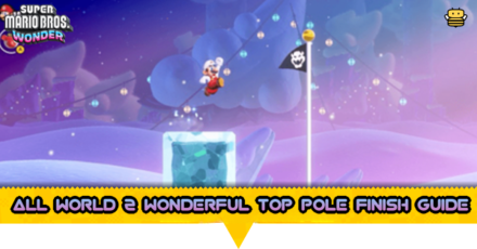 All World 2 Wonderful Top Pole Finish Guide