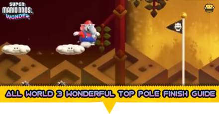All World 3 Wonderful Top Pole Finish Guide