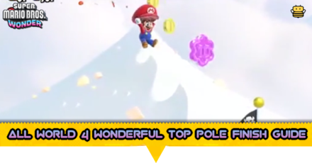 All World 4 Wonderful Top Pole Finish Guide