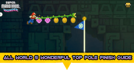 All World 5 Wonderful Top Pole Finish Guide