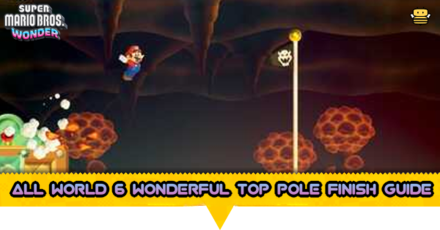 All World 6 Wonderful Top Pole Finish Guide