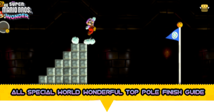 All Special World Wonderful Top Pole Finish Guide