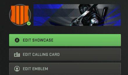 Modern Warfare 3 - Player Card