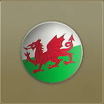 Modern Warfare 3 Flag of Wales Icon