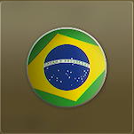 Modern Warfare 3 Flag of Brazil Icon