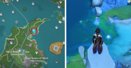 Genshin - 4.2 Hydroculus 200