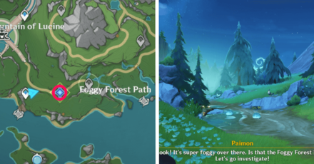 Genshin Impact - Foggy Forest Path - Search for the Foggy Forest Path