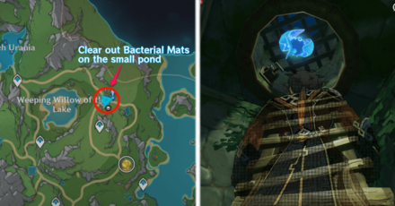 Genshin Impact - Hydroculus 161